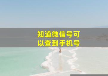 知道微信号可以查到手机号