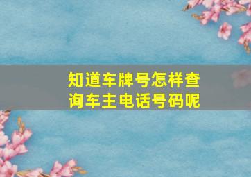 知道车牌号怎样查询车主电话号码呢