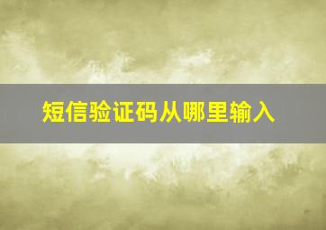 短信验证码从哪里输入