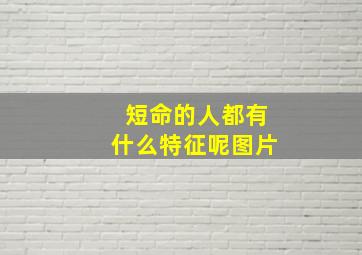 短命的人都有什么特征呢图片