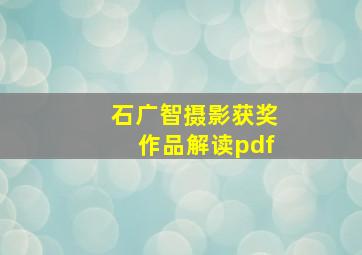 石广智摄影获奖作品解读pdf