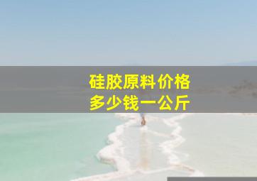 硅胶原料价格多少钱一公斤