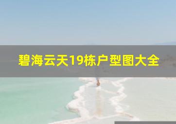 碧海云天19栋户型图大全