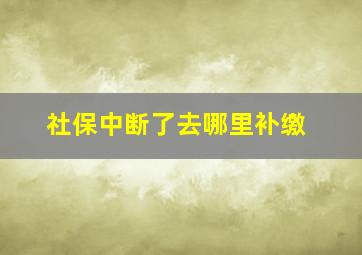 社保中断了去哪里补缴