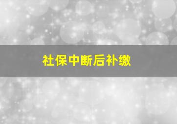 社保中断后补缴