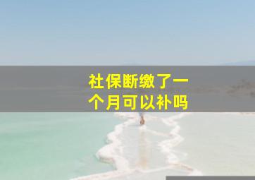 社保断缴了一个月可以补吗