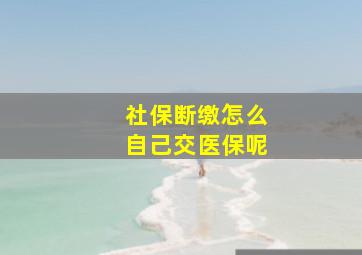 社保断缴怎么自己交医保呢