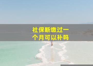 社保断缴过一个月可以补吗