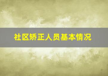 社区矫正人员基本情况