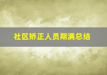 社区矫正人员期满总结