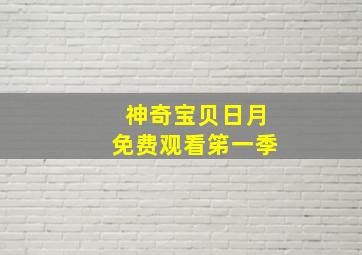 神奇宝贝日月免费观看笫一季