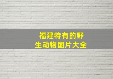 福建特有的野生动物图片大全