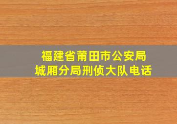 福建省莆田市公安局城厢分局刑侦大队电话