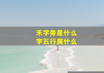 禾字旁是什么字五行属什么