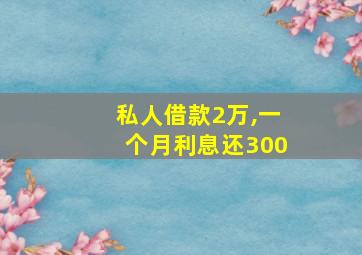 私人借款2万,一个月利息还300