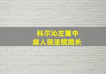 科尔沁左翼中旗人民法院院长