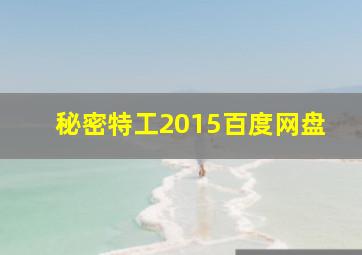 秘密特工2015百度网盘