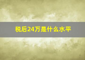 税后24万是什么水平