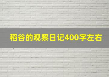 稻谷的观察日记400字左右