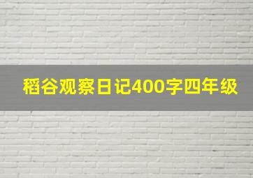 稻谷观察日记400字四年级