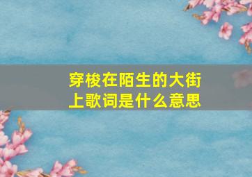 穿梭在陌生的大街上歌词是什么意思