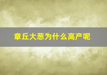 章丘大葱为什么高产呢