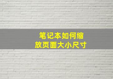 笔记本如何缩放页面大小尺寸