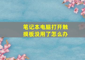 笔记本电脑打开触摸板没用了怎么办