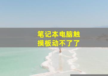 笔记本电脑触摸板动不了了