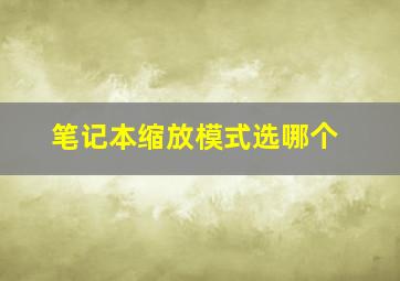 笔记本缩放模式选哪个