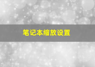 笔记本缩放设置