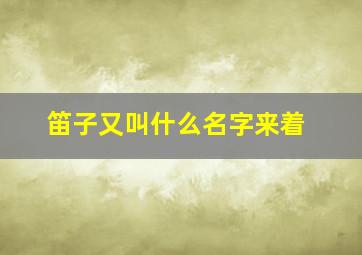 笛子又叫什么名字来着