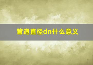 管道直径dn什么意义