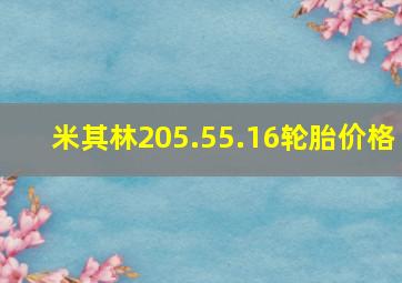 米其林205.55.16轮胎价格