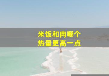 米饭和肉哪个热量更高一点