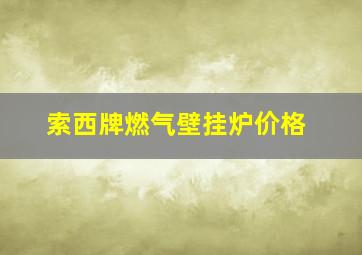 索西牌燃气壁挂炉价格