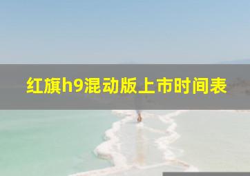 红旗h9混动版上市时间表