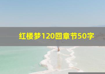 红楼梦120回章节50字