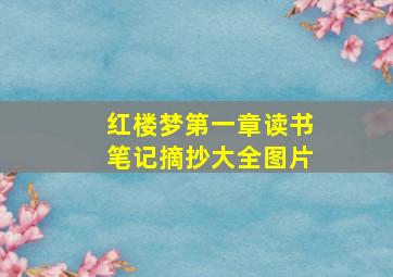 红楼梦第一章读书笔记摘抄大全图片