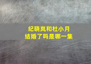 纪晓岚和杜小月结婚了吗是哪一集