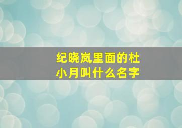 纪晓岚里面的杜小月叫什么名字