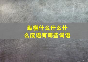 纵横什么什么什么成语有哪些词语