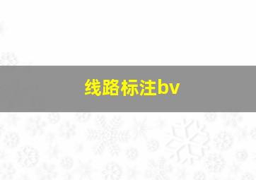 线路标注bv