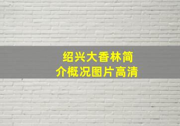 绍兴大香林简介概况图片高清