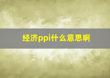 经济ppi什么意思啊