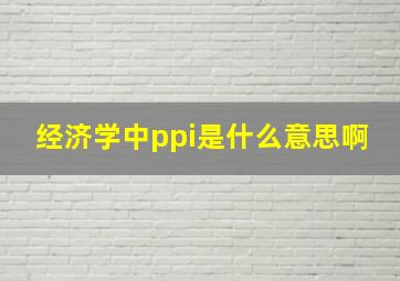 经济学中ppi是什么意思啊