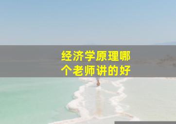 经济学原理哪个老师讲的好