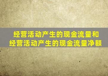 经营活动产生的现金流量和经营活动产生的现金流量净额