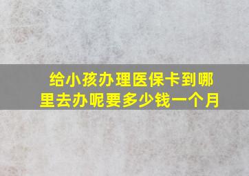 给小孩办理医保卡到哪里去办呢要多少钱一个月