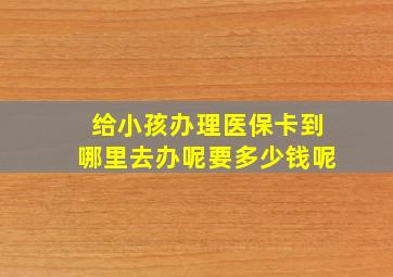 给小孩办理医保卡到哪里去办呢要多少钱呢